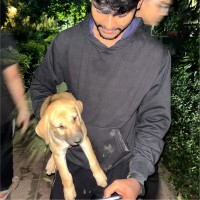 Rishav Kumar