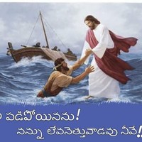 Rohith Son Mc Kandy