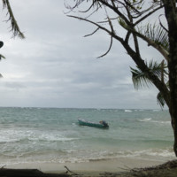 Gunter Karl Robert Schwerdt