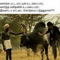 Ramesh Jo