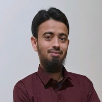 Md Amir Hussain