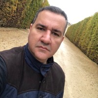 José Roberto Bischofe Filho