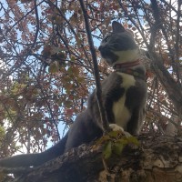 Emily Gilmar