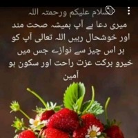 Nasreena Yousuf