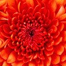 Karthikeyan M