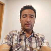 Ricardo Nogueira