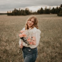 Analise Norton