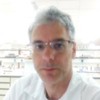 Kotsonis Vasilis