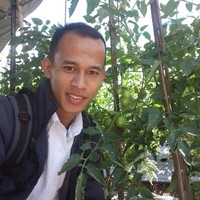 Fauzi Ahmad