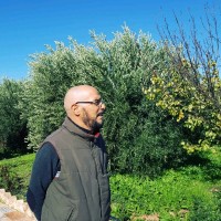Abderrahmane El Bahraoui