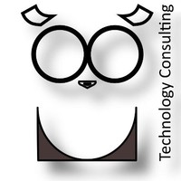 PlanWise - Technology Consulting