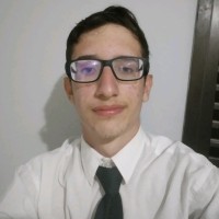 Henrique Haiek Ferreira Pena