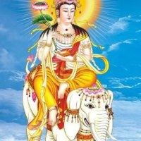 潘国飞