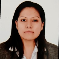 Diana Huanaco Portal