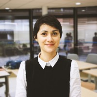 Denisa Naidin