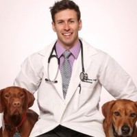 Justin Carlson VMD, DACVIM (Cardiology)