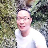 Fu Lei
