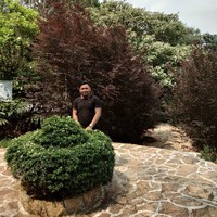 Alfreda Budi Mahatma Gultom