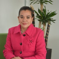 María Guadalupe Goldaracena