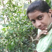 Sherinmol Thomas