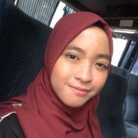 Che Nadhatul Ilani Mohd Nordin