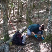 Norma Alas Gutierrez