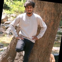 Dhineshkumar M