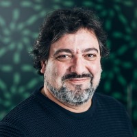 Miguel Ángel Rodríguez Curto