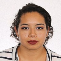 Ilse Merary Zarat Llamas