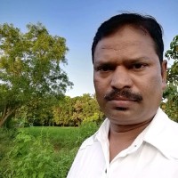 Salim Cholayil