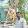 Girisha Ns