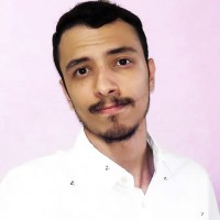 Lucas Hochleitner Da Silva