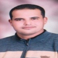 Mostafa Bahnasy