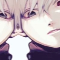 Test Test