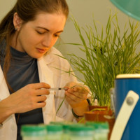 Plant Genetics Journal