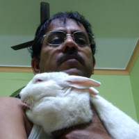 NITYANANDA PATRA