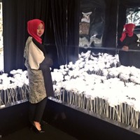 Mirtha Sari Nugroho