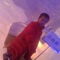 李清石
