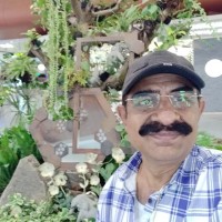 Rammohan guda