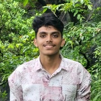 Ameer Ali