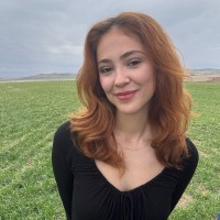 Merve Çevik