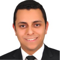 Kareem Bassem Amer