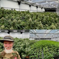 Cornel (THE WHITE LION) Van Der Watt