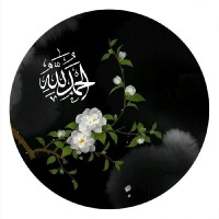 Marwa Reda