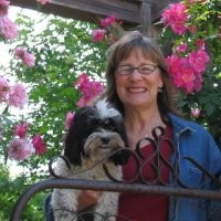 Sue Bohlmann