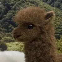 胡胤隆