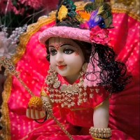 Lokesh Rajawat