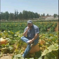 Charbel Tannous