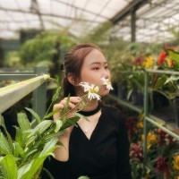 Hồ Trần Bảo Thy