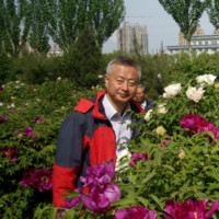 Xiaoye He